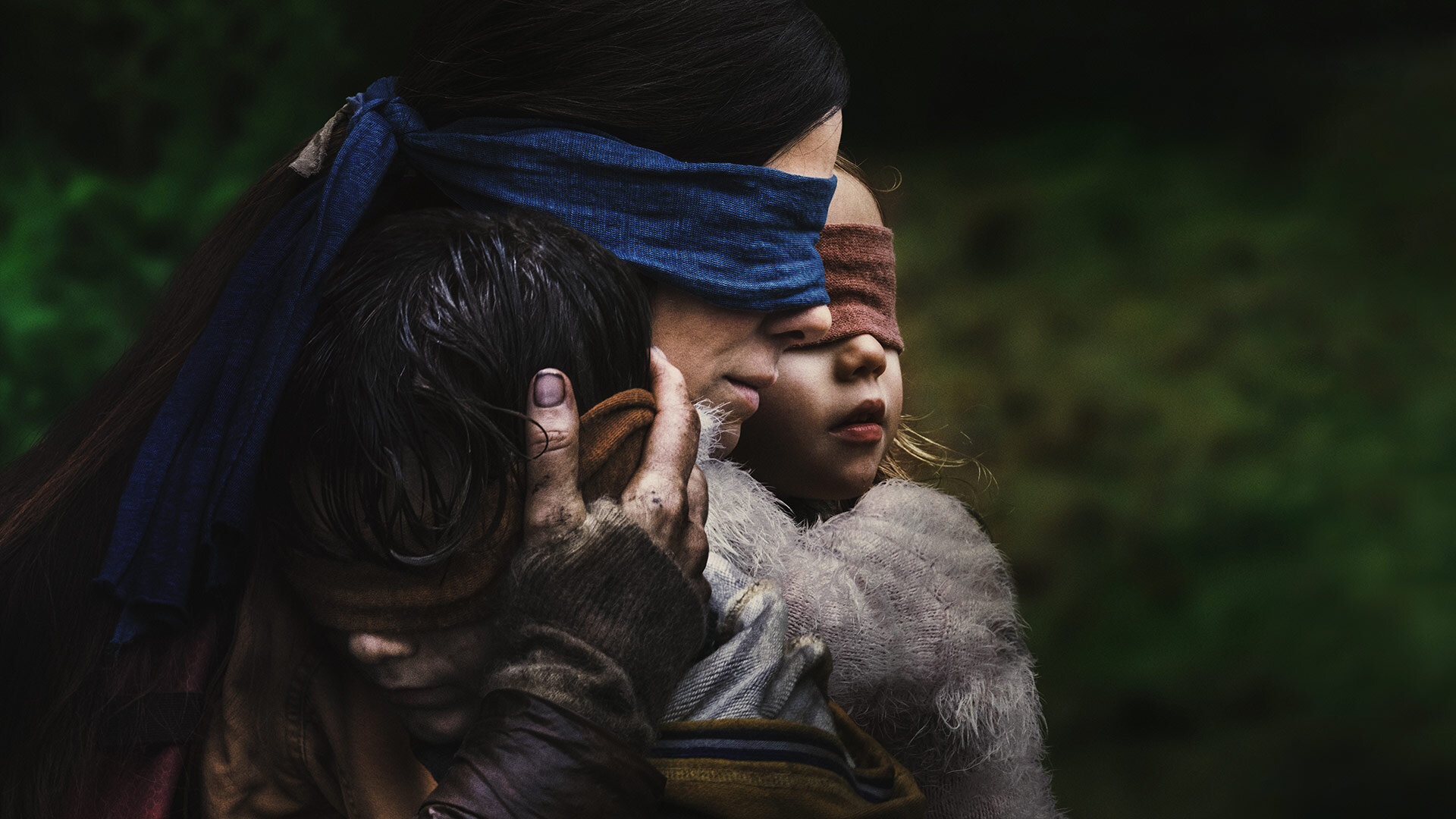 bird box free stream